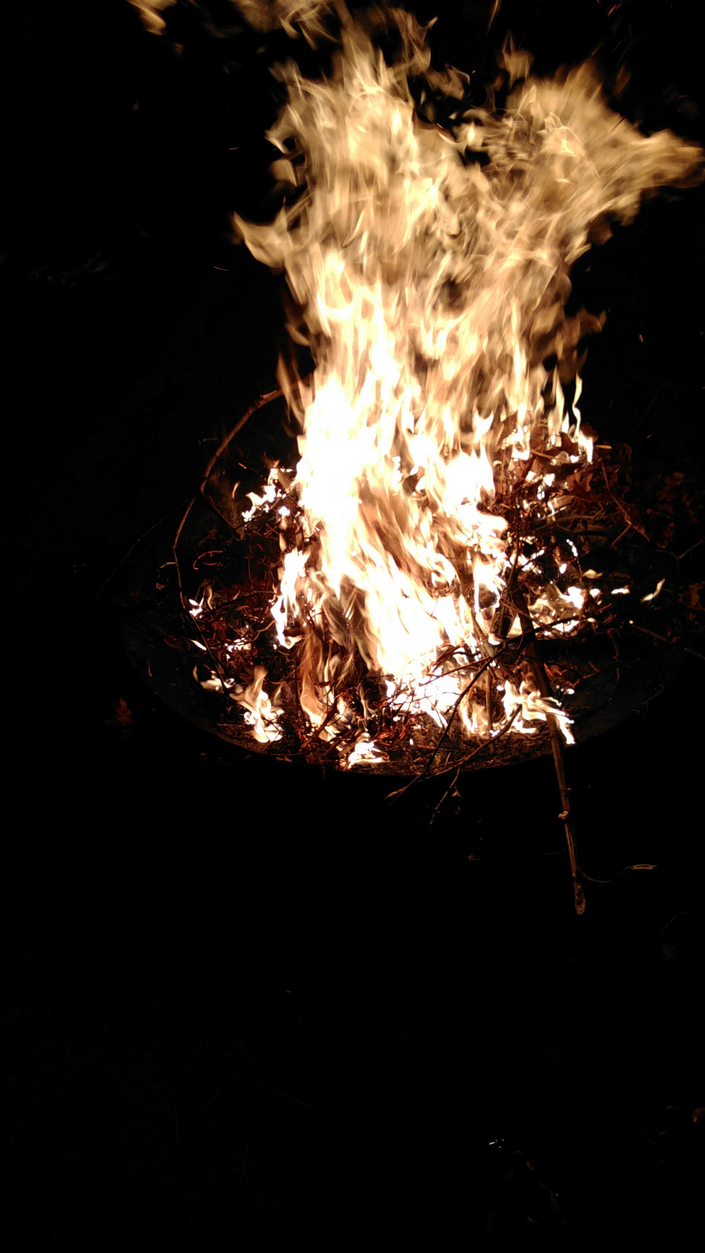 This image has an empty alt attribute; its file name is img_20190106_192011-1.jpg