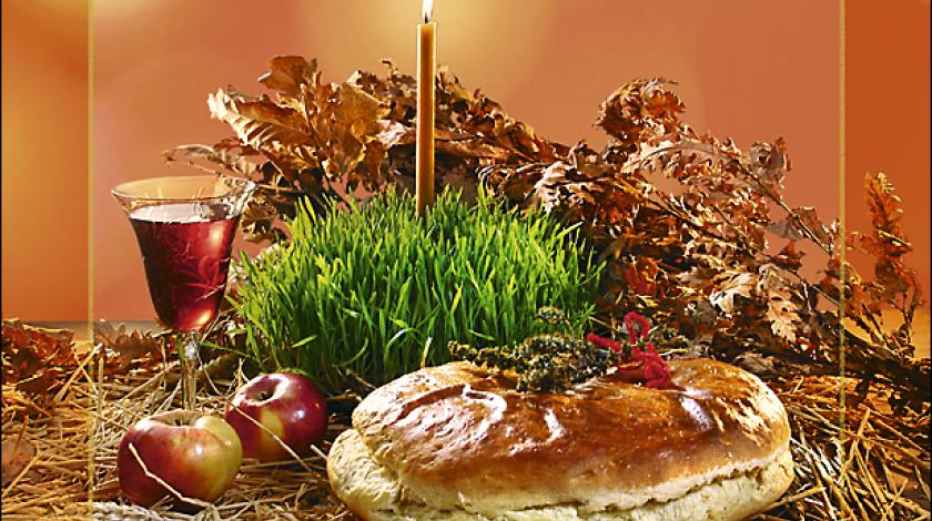 This image has an empty alt attribute; its file name is boc5beic487.jpg